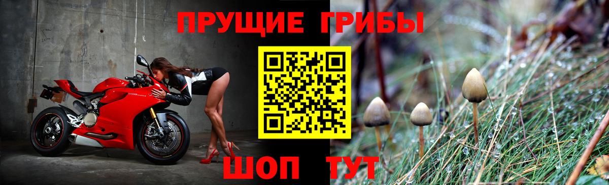 где продают наркотики  Галлюциногенные грибы Magic Shrooms  Вход с VPN  Белогорск  Галлюциногенные грибы ЛСД 